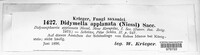 Xenodidymella applanata image